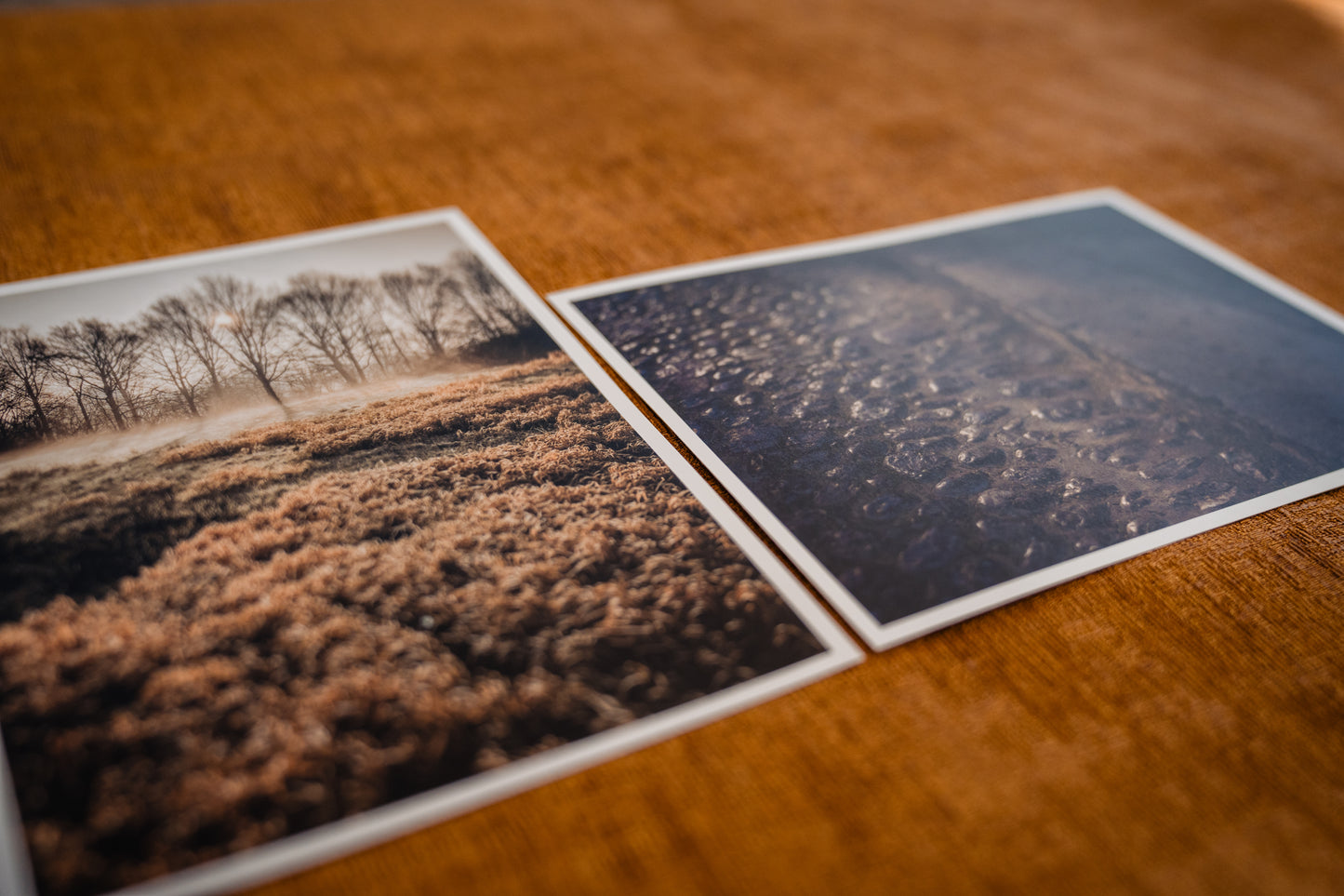 Mini posters Licht