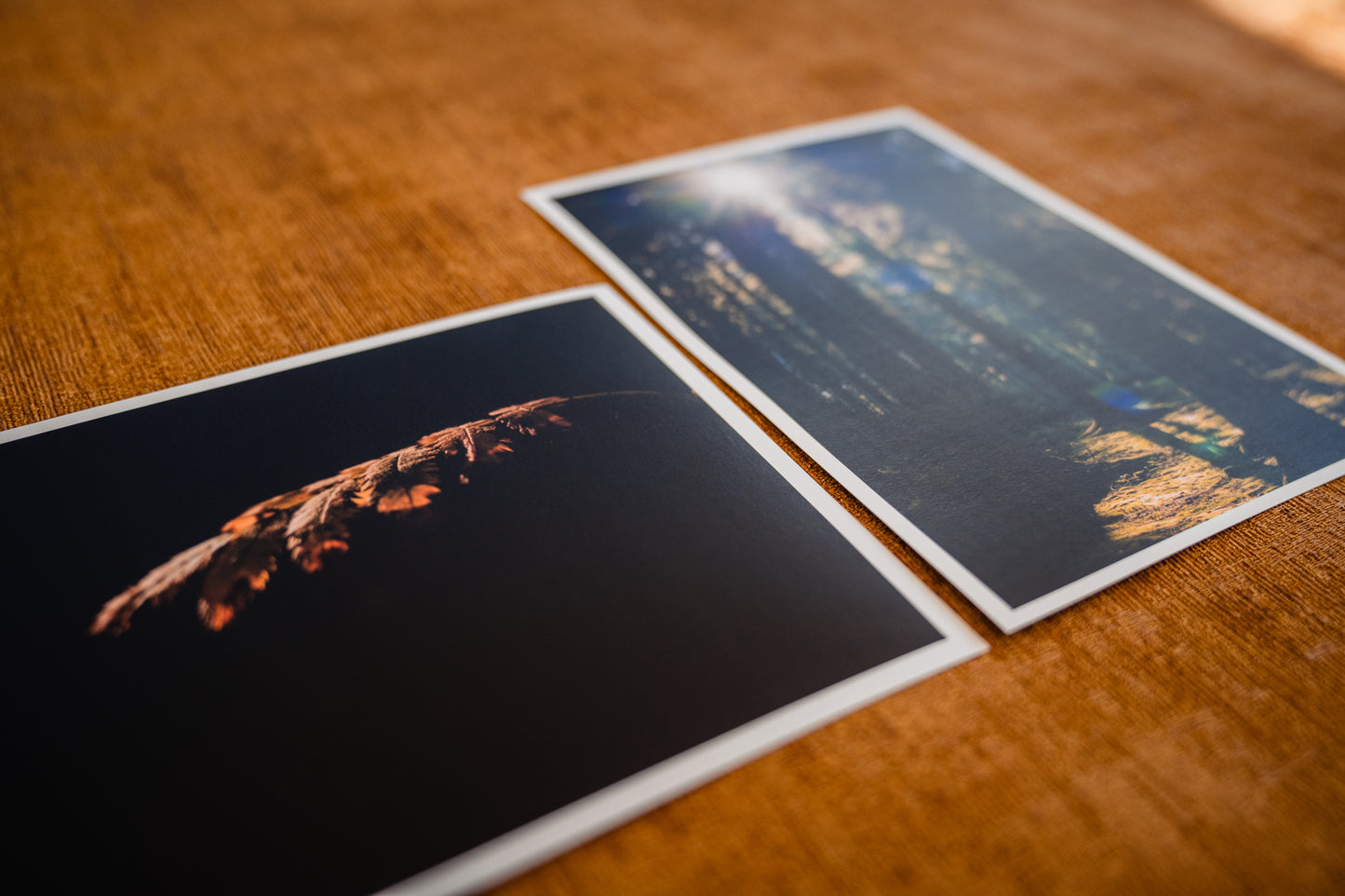 Mini posters Bos