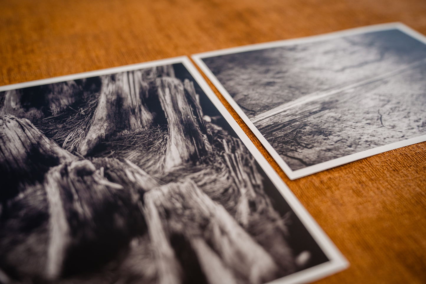 Mini posters Oase