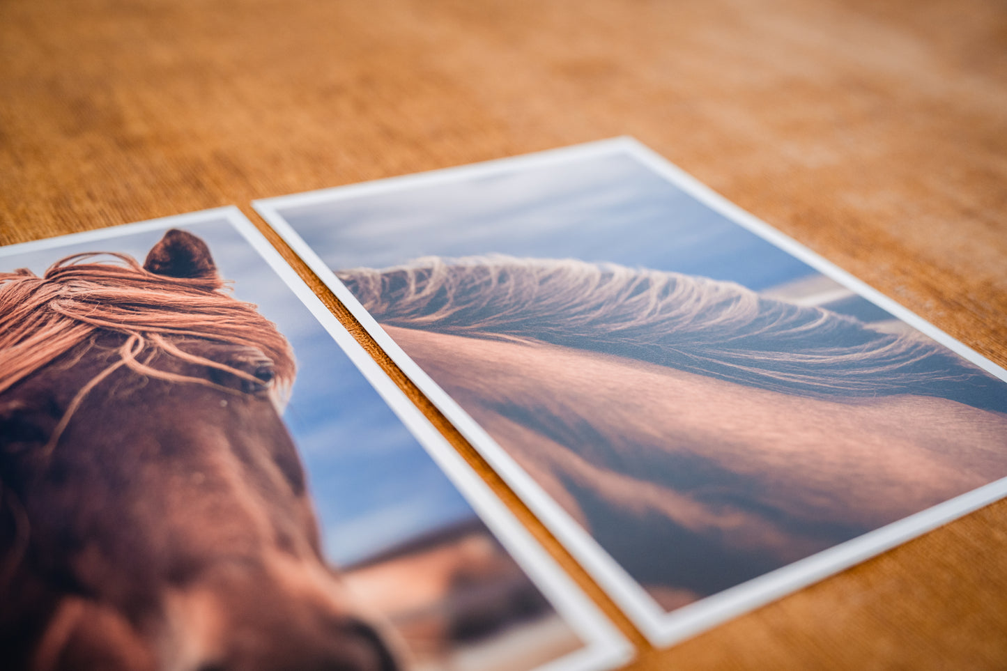Mini posters Horses