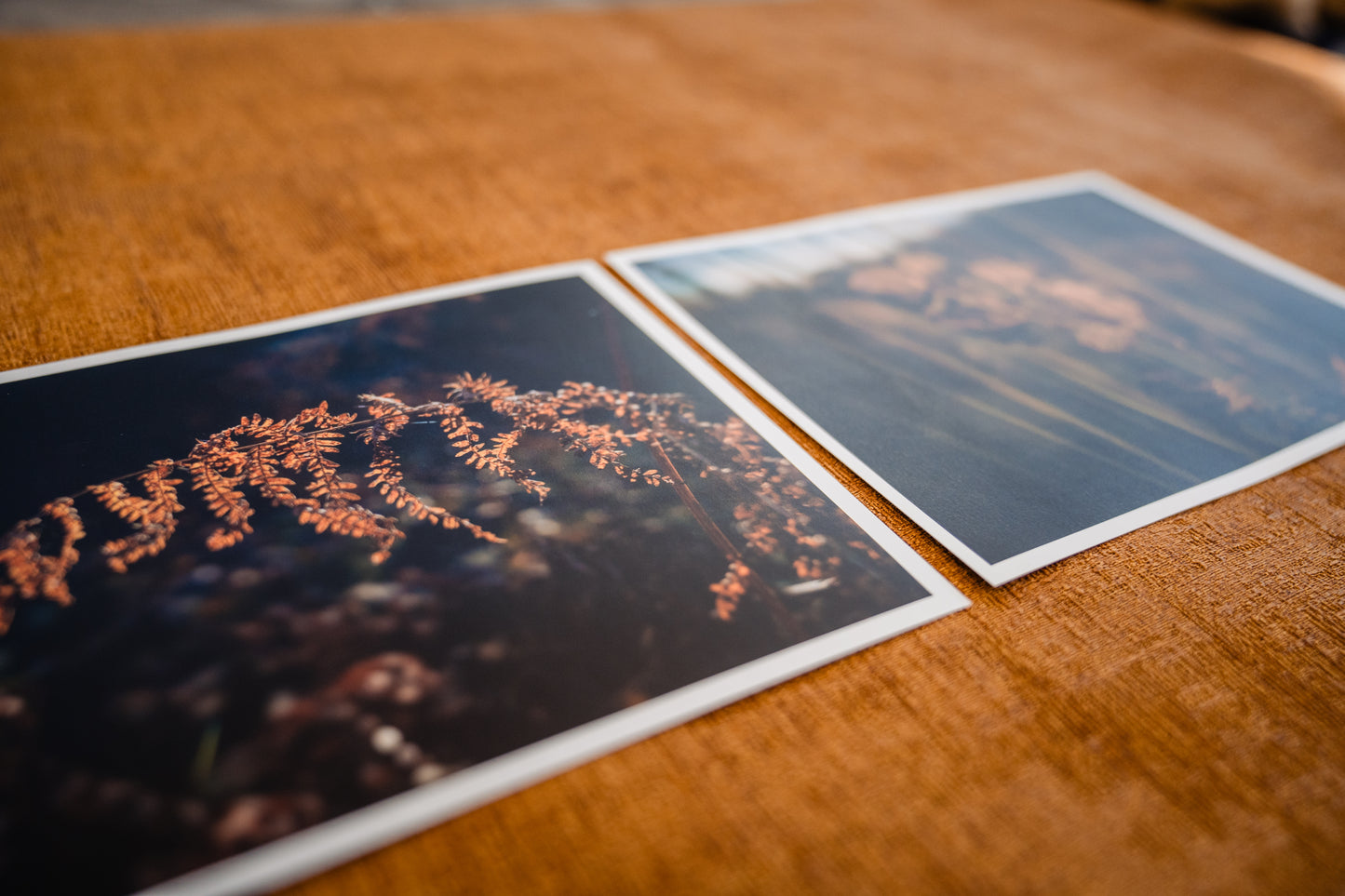 Mini posters Herfst
