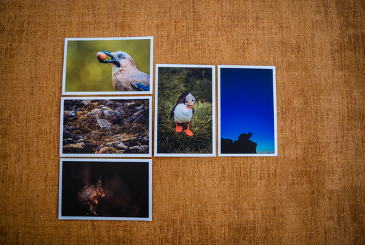 Kaartenset klein Dieren