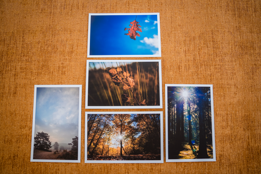 Kaartenset klein Herfst