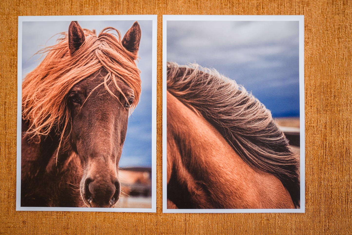 Mini posters Horses