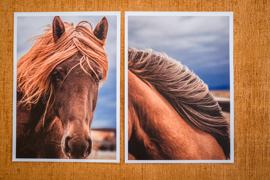 Mini posters Horses