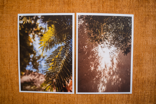 Mini posters Secret garden