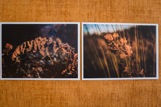 Mini posters Herfst