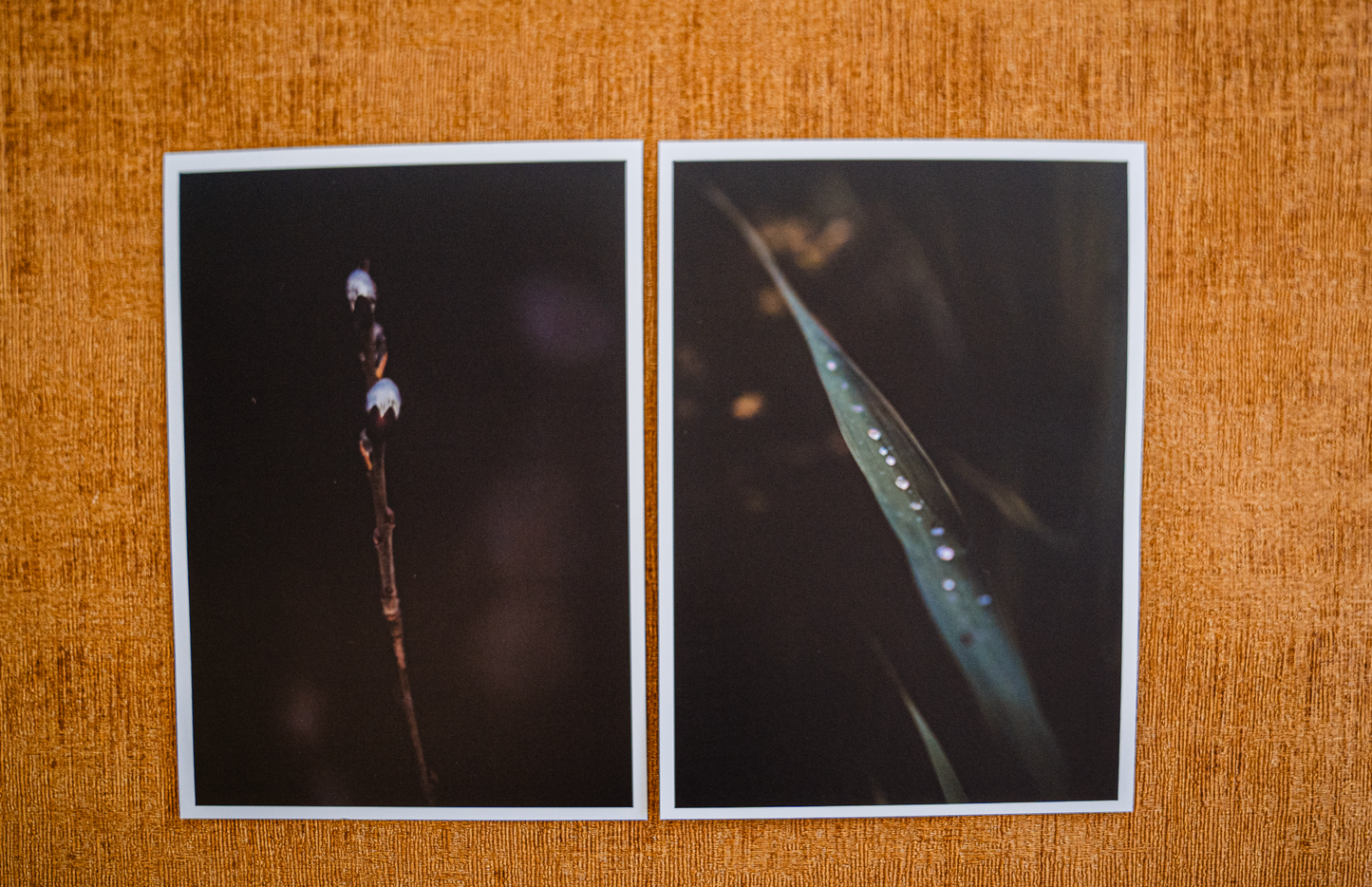 Mini posters Close up