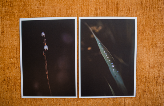 Mini posters Close up
